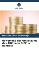 Marcello Kautora Hitiraukunga - Bewertung der Umsetzung des ABC beim GIPF in Namibia