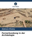 Abdelaziz Elfadaly - Fernerkundung in der Archäologie