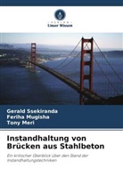Tony Meri, Feriha Mugisha, Gerald Ssekiranda - Instandhaltung von Brücken aus Stahlbeton