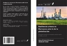 Anas El Azizi El Alaoui, Abdelali Fateh - Resiliencia urbana en Marruecos ante la de la globalización