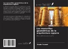 Ghada Youssef - Las maravillas geométricas de la arquitectura egipcia