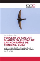 Abel Hernández-Muñoz - VENCEJO DE COLLAR BLANCO EN CUEVAS DE LAS MONTAÑAS DE TRINIDAD, CUBA