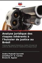 Bruno B. Aguiar, Jonathan P. G. Carmo, Andre Pedrolli Serretti - Analyse juridique des risques inhérents à l'huissier de justice au Brésil