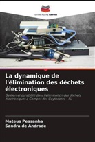 Sandra de Andrade, Mateus Pessanha - La dynamique de l'élimination des déchets électroniques