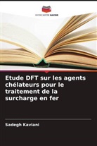 Sadegh Kaviani - Etude DFT sur les agents chélateurs pour le traitement de la surcharge en fer