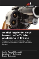 Bruno B. Aguiar, Jonathan P. G. Carmo, Andre Pedrolli Serretti - Analisi legale dei rischi inerenti all'ufficiale giudiziario in Brasile