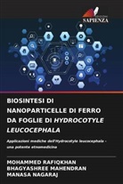 Bhagyashree Mahendran, Manasa Nagaraj, Mohammed Rafiqkhan - BIOSINTESI DI NANOPARTICELLE DI FERRO DA FOGLIE DI HYDROCOTYLE LEUCOCEPHALA