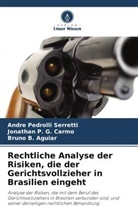 B Agu, Bruno B. Aguiar, Jonathan P G Carmo, Jonathan P. G. Carmo, Andre Pedrolli Serretti - Rechtliche Analyse der Risiken, die der Gerichtsvollzieher in Brasilien eingeht