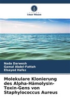 Gamal Abdel-Fattah, Nada Darwesh, Elsayed Hafez - Molekulare Klonierung des Alpha-Hämolysin-Toxin-Gens von Staphylococcus Aureus