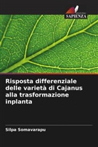Silpa Somavarapu - Risposta differenziale delle varietà di Cajanus alla trasformazione inplanta