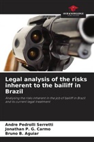 Bruno B. Aguiar, Jonathan P. G. Carmo, Andre Pedrolli Serretti - Legal analysis of the risks inherent to the bailiff in Brazil