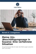 Kerwin A Livingstone, Kerwin A. Livingstone - Meine (Un)Beschäftigung Saga in Guyana: Eine Verfluchte Situation