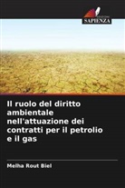 Melha Rout Biel, Melha Rout Biel - Il ruolo del diritto ambientale nell'attuazione dei contratti per il petrolio e il gas