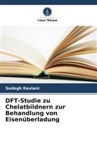 Sadegh Kaviani - DFT-Studie zu Chelatbildnern zur Behandlung von Eisenüberladung