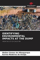 Walker Gomes de Albuquerque, Karine Medeiros de Araújo - IDENTIFYING ENVIRONMENTAL IMPACTS AT THE DUMP