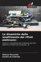 Sandra de Andrade, Mateus Pessanha - Le dinamiche dello smaltimento dei rifiuti elettronici