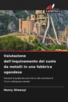 Henry Olwenyi - Valutazione dell'inquinamento del suolo da metalli in una fabbrica ugandese