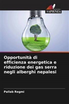 Pallab Regmi - Opportunità di efficienza energetica e riduzione dei gas serra negli alberghi nepalesi
