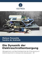 Sandra de Andrade, Mateus Pessanha - Die Dynamik der Elektroschrottentsorgung