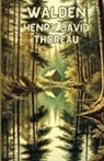 Henry D. Thoreau - Walden(Illustrated)