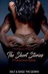 Saige The Gemini, Salt - The Initiation Short Stories