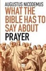 Augustus Nicodemus - What the Bible Has To Say About Prayer