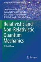 Gage Eichman, Hira Farooq, Maricela Fernández Lozada, Luis Grave de Peralta, Gabrielle Prime, Abhishek Singh - Relativistic and Non-Relativistic Quantum Mechanics