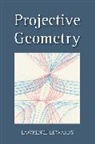 Lawrence Edwards, Edwards Lawrence - Projective Geometry