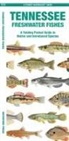 Waterford Press Waterford Press - Tennessee Freshwater Fishes