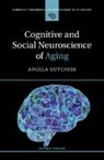 Angela Gutchess, Angela (Brandeis University Gutchess - Cognitive and Social Neuroscience of Aging