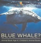 Baby - Have You Ever Seen A Blue Whale? Animal Book Age 4 | Children's Animal Books