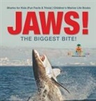Baby - JAWS! - The Biggest Bite! | Sharks for Kids (Fun Facts & Trivia) | Children's Marine Life Books