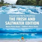 Baby - Ecosystem Facts That You Should Know - The Fresh and Saltwater Edition - Nature Picture Books | Children's Nature Books