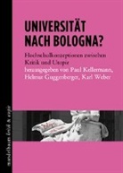 Helmut Guggenberger, Paul Kellermann, Karl Weber - Universität nach Bologna?