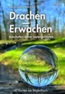 Michaela Haendly - Drachen-Erwachen Kartenset