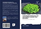 Paulo Campos - Industrielle Nutzung von recyceltem Gummi aus Altreifen