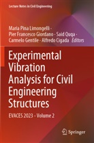 Alfredo Cigada, Pier Francesco Giordano, Carmelo Gentile, Pier Francesco Giordano, Maria Pina Limongelli, Said Quqa... - Experimental Vibration Analysis for Civil Engineering Structures