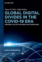 James Pick, Avijit Sarkar - Global Digital Divides in the COVID-19 Era