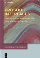 Miguel de Oliveira Jr, Jr. Oliveira, Miguel Oliveira Jr, Miguel de Oliveira Jr. - Prosodic Interfaces