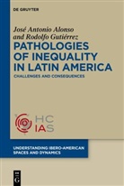 José Antonio Alonso, José Antonio Alonso, Rodolfo Gutiérrez, Rodolfo Gutiérrez Palacios, José Antonio Alonso, Gutiérrez Palacios... - Pathologies of inequality in Latin America