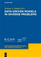 Tatiana A Bubba, Tatiana A. Bubba - Data-driven Models in Inverse Problems