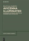 Hanif Amin Beidokhti - Avicenna Illuminated