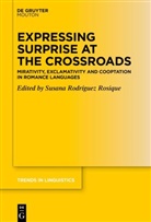 Susana Rodriguez Rosique - Expressing Surprise at the Crossroads