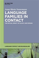 Anna-Maria Sonnemann - Language Families in Contact