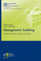 Joachim Kregel, Joachim (D Kregel, Volker H (Prof. Dr.) Peemöller, Volker H. Peemöller - Management Auditing