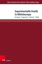 Anne Hultsch, Klaus Schenk, Alice Sta¿ková, Alice Stasková, Alice Stašková - Experimentelle Poetik in Mitteleuropa