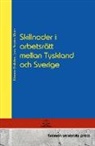 Tilmann Ehrlicher, Lars Anders Malm - Skillnader i arbetsrätt mellan Tyskland och Sverige