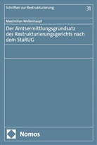 Maximilian Wollenhaupt - Der Amtsermittlungsgrundsatz des Restrukturierungsgerichts nach dem StaRUG