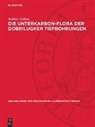 Walther Gothan - Die Unterkarbon-Flora der Dobrilugker Tiefbohrungen