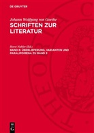 Horst Nahler - Johann Wolfgang von Goethe: Schriften zur Literatur - Band 6: Überlieferung, Varianten und Paralipomena zu Band 3